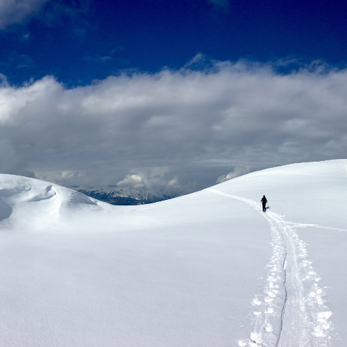 Cross country skiing